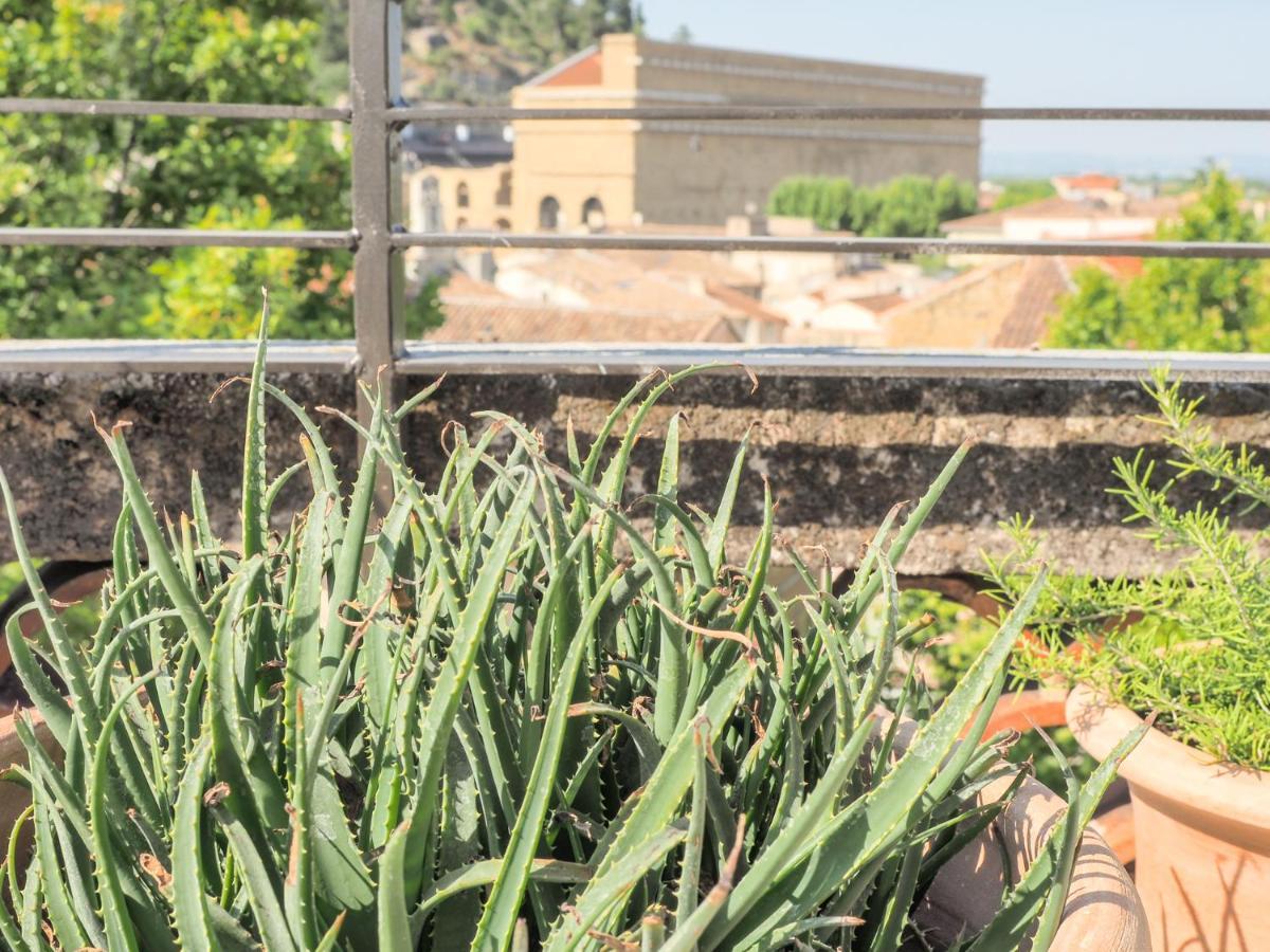Le Rooftop - Vue incroyable sur le Théatre Antique Orange  Extérieur photo